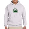 Adult Heavy Blend™ Hooded Sweatshirt Thumbnail
