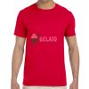 Adult Softstyle® T-Shirt Thumbnail