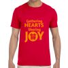 Adult Softstyle® T-Shirt Thumbnail